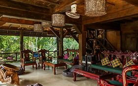 Surf Dacha